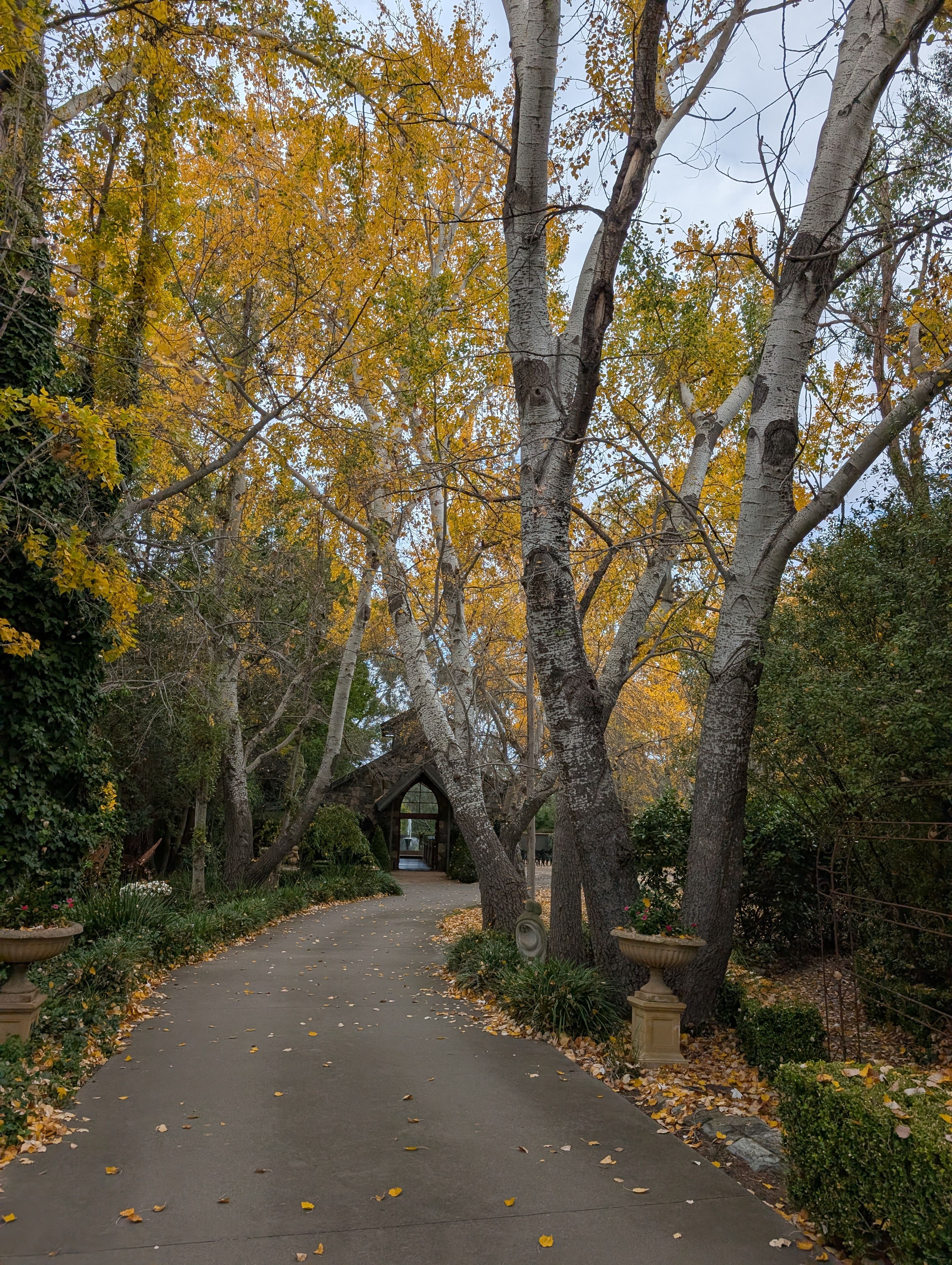 The Chapel at Gold Creek photo 2
